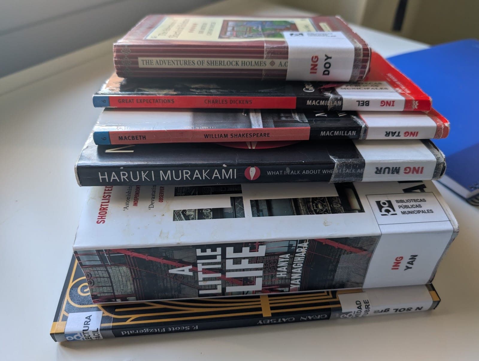 A stack of library books: Sherlock Holmes, Macbeth, Haruki Murakami, A Little Life and more.