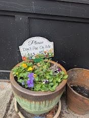 A pot of pansies with a little sign that says "Please don't pee on me".