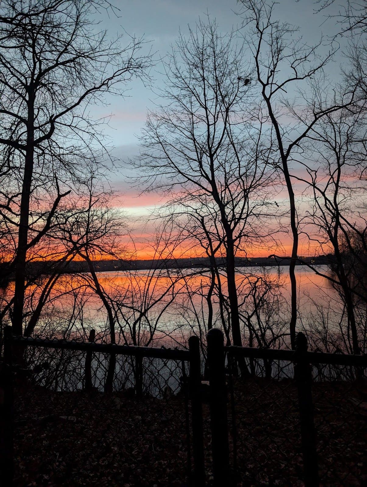 An orange and pink sunset over water, seen through the bare branches of winter trees.