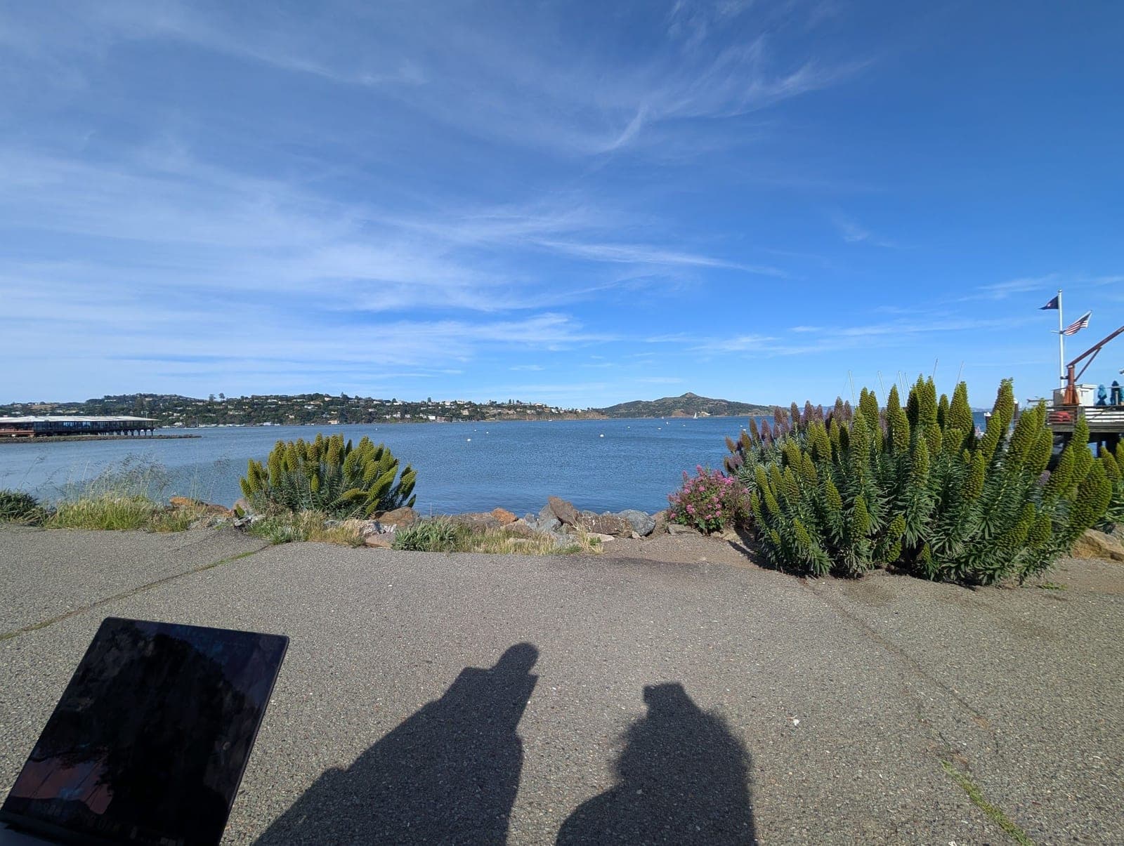 Two long shadows on the path beside the bay, with purple flowering bushes and blue sky.